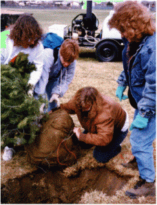 Planting trees for a greener world.